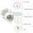 Diagram showing different types of light bulbs including LED, filament, incandescent, halogen, and FCL with a white background.